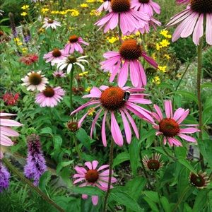 Meet your Posher, Stacy